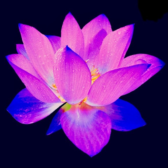 Antique Lotus Blossoms Bracelet - Picture 9 of 16